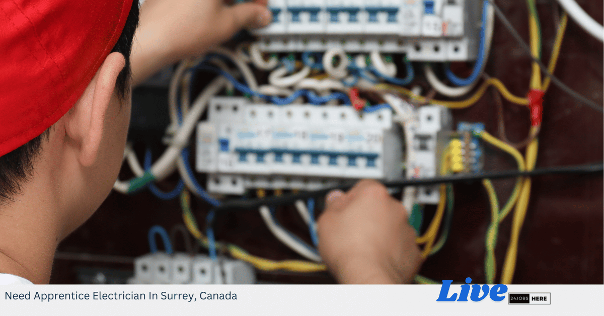 Need Apprentice Electrician In Surrey, Canada