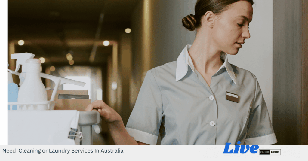 Need Cleaning or Laundry Services In Australia