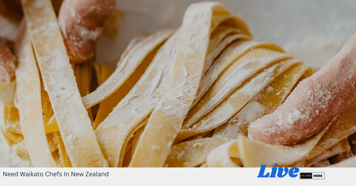 Need Waikato Chefs In New Zealand