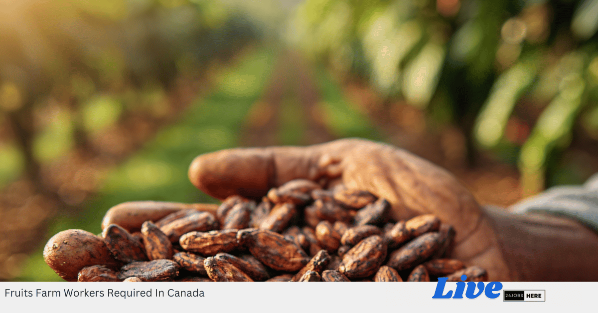 Fruits Farm Workers Required In Canada