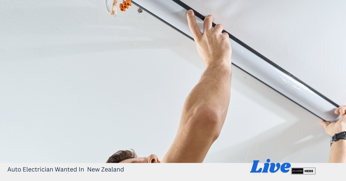 Auto Electrician Wanted In New Zealand