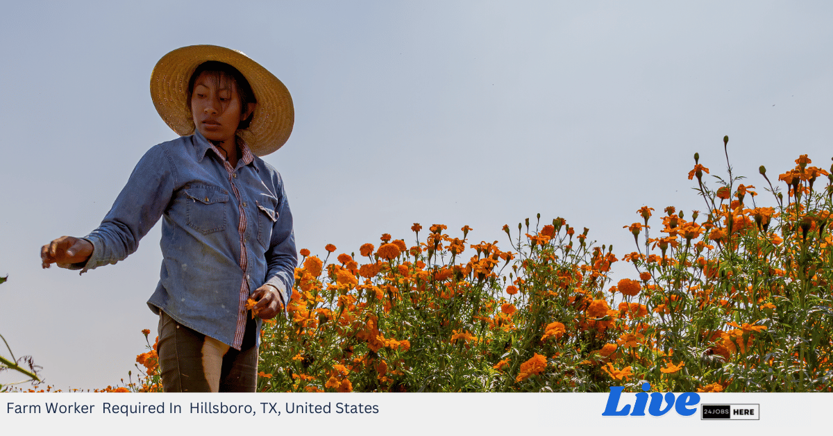 Farm Worker Required In Hillsboro, TX, United States