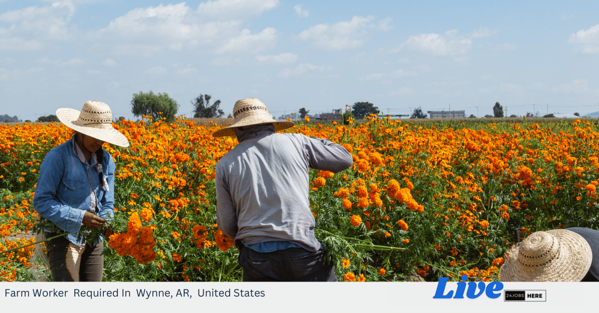 Farm Worker Required In Wynne, AR, United States