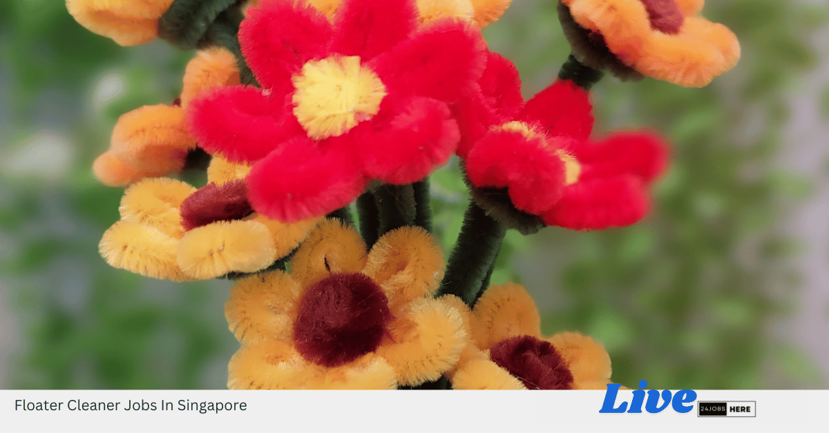 Floater Cleaner Jobs In Singapore