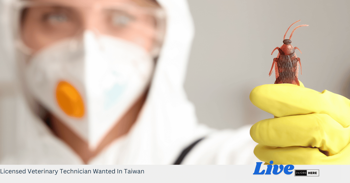 Licensed Veterinary Technician Wanted In Taiwan