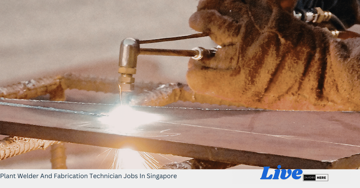 Plant Welder And Fabrication Technician Jobs In Singapore