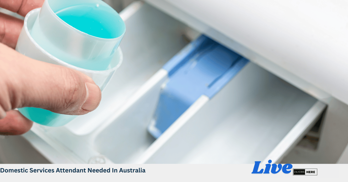 Domestic Services Attendant Needed In Australia