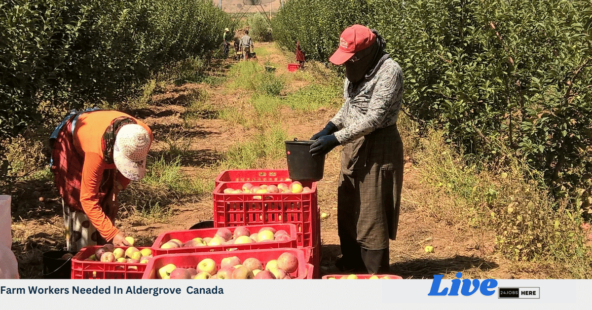 Farm Workers Needed In Aldergrove Canada