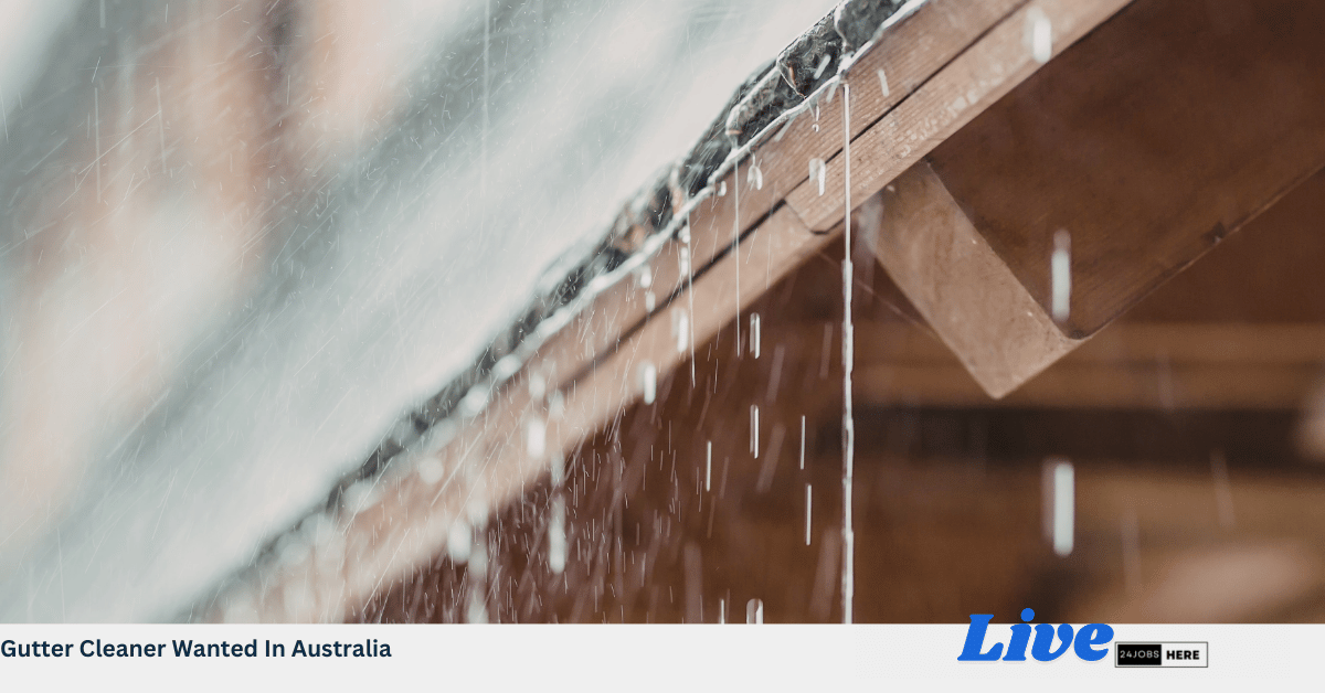 Gutter Cleaner Wanted In Australia