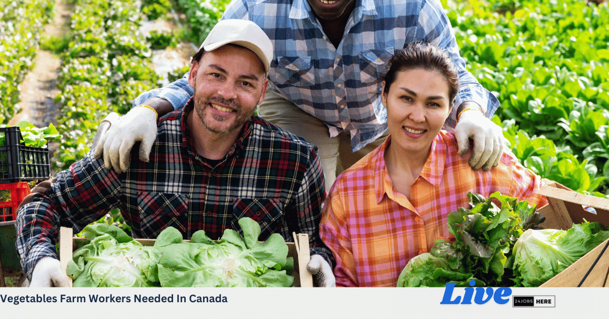 Vegetables Farm Workers Needed In Canada